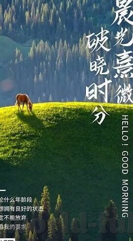 成人在线观看免费视频-成人在线观看免费视频,理性审视与安全指南