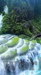 大象传媒回家在线观看-探索大象传媒的回家之旅，在线观影的温馨篇章
